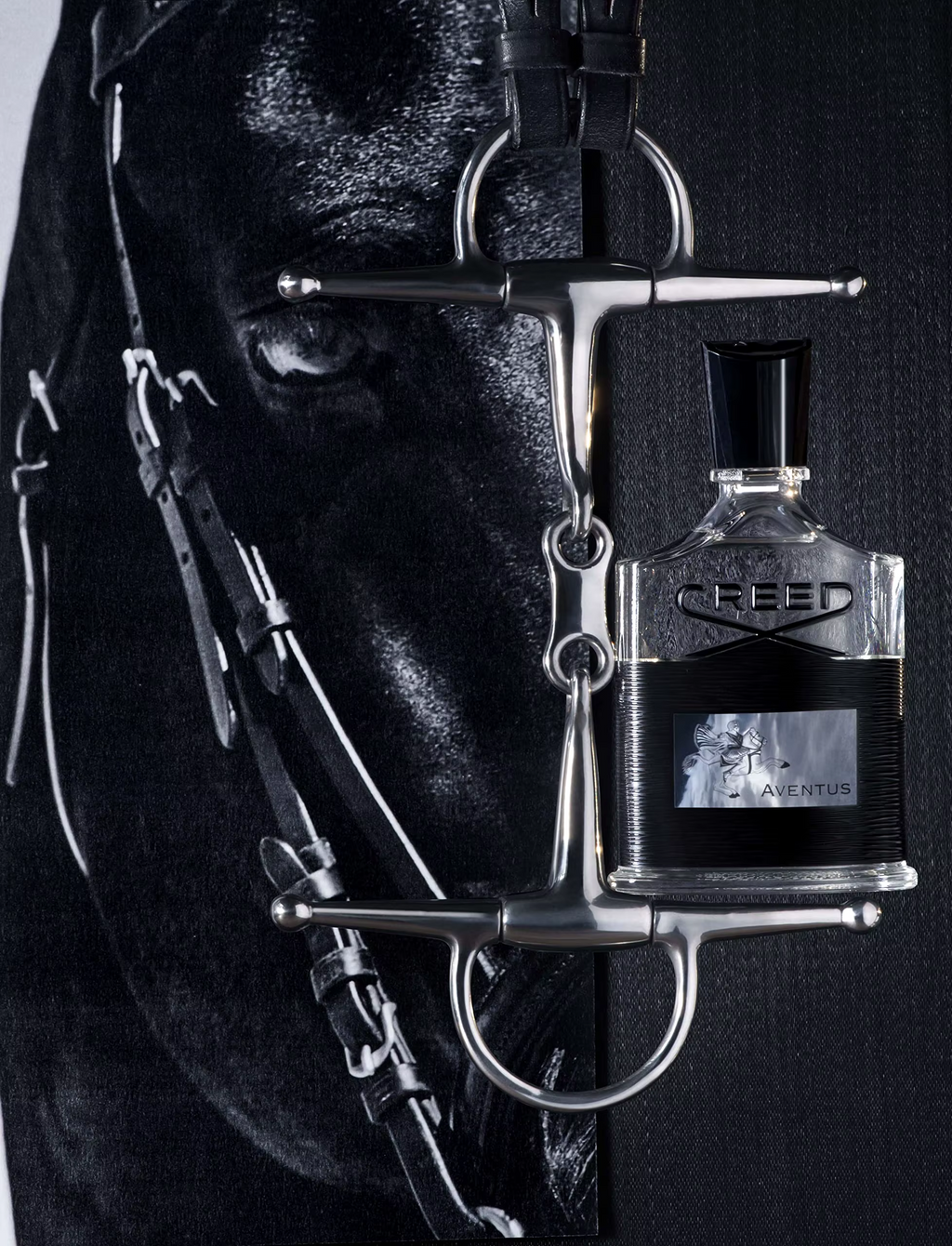 Creed Aventus Eau De Parfum Silver Mountain Water Original Perfume Green Irish Tweed Eau De Parfum Spray for Unisex A77