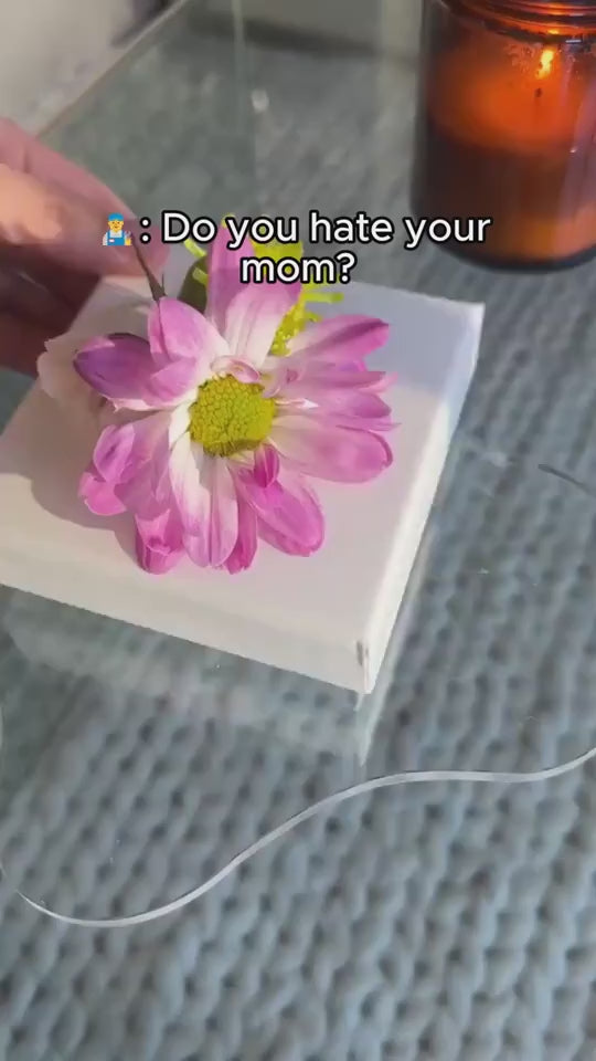 1.mp4